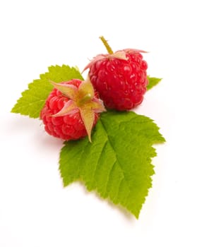 Two ripe organic raspberries with a leaf on a white studio background, seasonal food or healthy eating