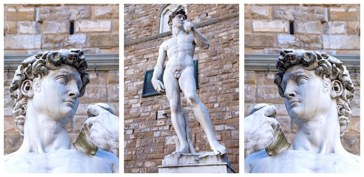 Collage with images of the David sculpture  by Michelangelo (Piazza Signoria,Florence, Tuscany, Italy). Details of the head and the overall view of the statue