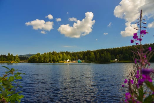 Fichtelsee Lake in the forest in summer