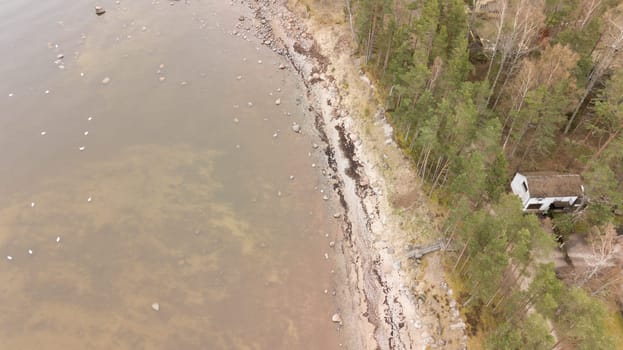 Roja Latvia Baltic Sea Seaside Aerial drone top view