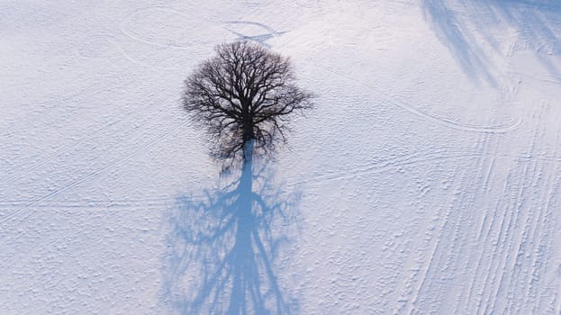 Winter field Krimulda Latvia aerial drone top view