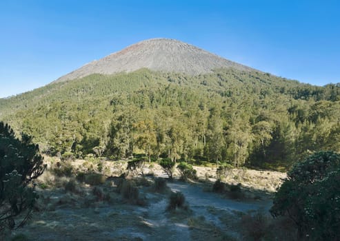 View of Semeru Mountain seen from Kalimati. Malang, Indonesia