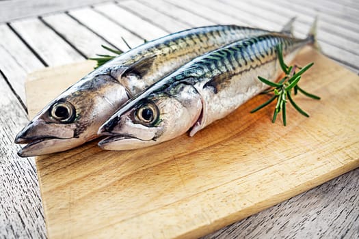 Fresh mackerel fish on wooden board with herbs