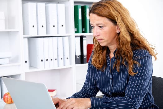 brown-haired  businesswoman working with computer in the office