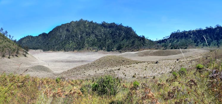Scenery of Savannah on Oro Oro Ombo in Semeru Mountain. Malang, Indonesia