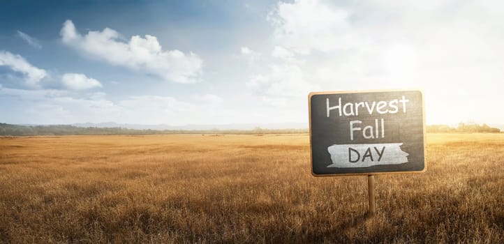 Plank with Harvest Fall Day message on dry grass field