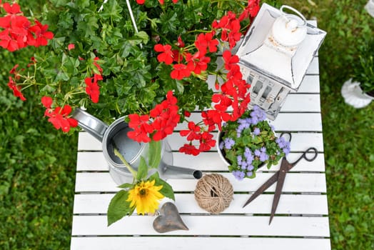 Garden decoration with red geraniums and a watering can tool from above