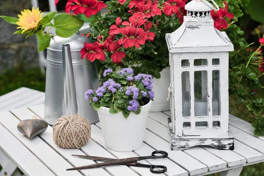 Garden decoration with red geraniums and a watering can tool from above