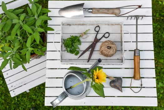Herbs in the garden with a watering can and scissors white from above