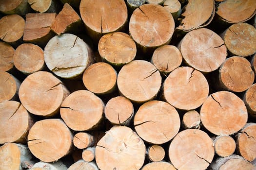 Pile of firewood in Austria.