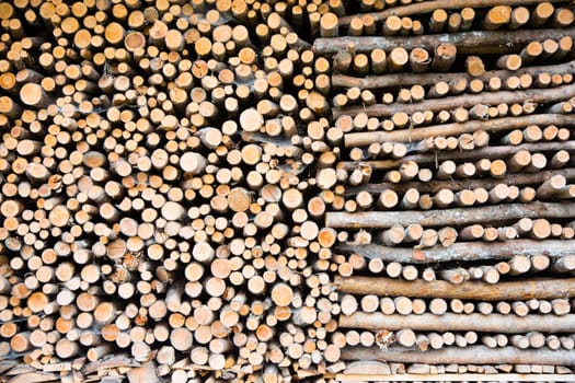 Pile of firewood in Austria.