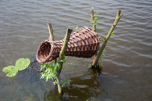 Duck nesting basket above the water surface in Kinderdijk, the Netherlands.
