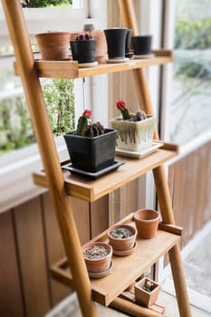 Green plant pot on the shelf, stock photo