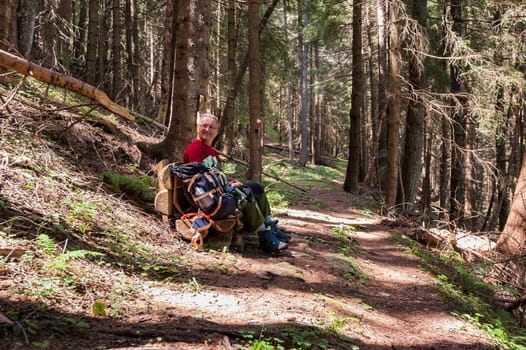 Hiker is resting on a bench in a forest. Healthy lifestyle.