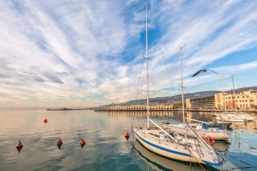 Pleasure boats moored in harbor in sunny day. Trieste Italy