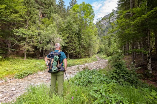 Mature hiker with backpack near a stream observes his path to the mountain. Healthy lifestyle.