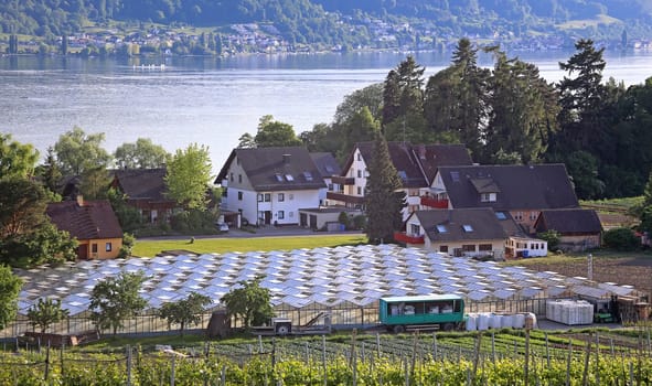 Greenhouses on the vegetable island of Reichenau in Lake Constance