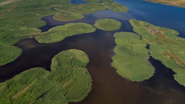 aerial view of Danube Delta, Romania, Europe