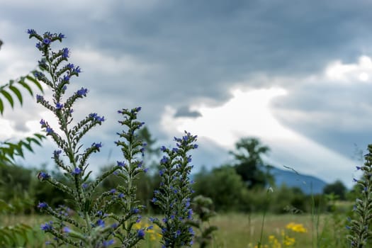 dramatic dark clouds and sun beams landscape