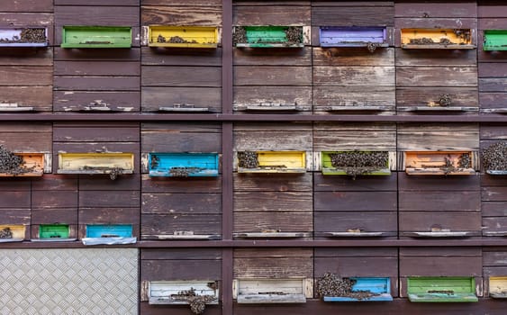 beehive in truck picture for articles about farms