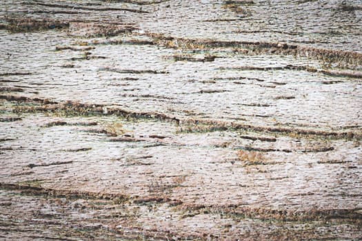 Old Wood Texture Background for Design. Wood Texture or wood background and sand dust and gravel