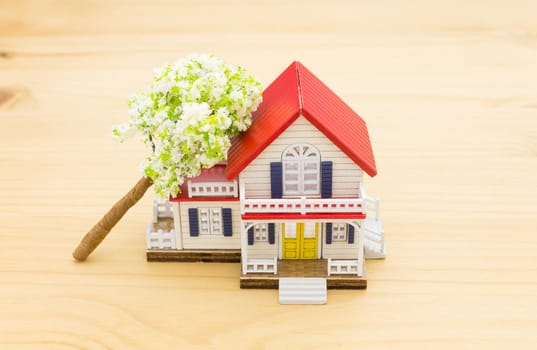 Fallen Tree Home Insurance Concept. Falling trees on home or house for insurance concept or disaster category. Home insurance concept in .business category.