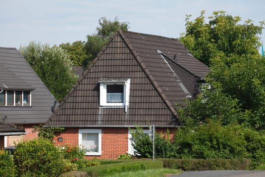 Residential  House with green trees