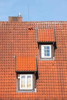 roof, roof windows