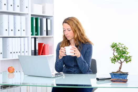 brown-haired businesswoman working in the office