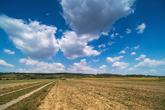 Agricultural landscape with spring clouds,field with forest road