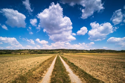 Agricultural landscape with spring clouds,field with forest road