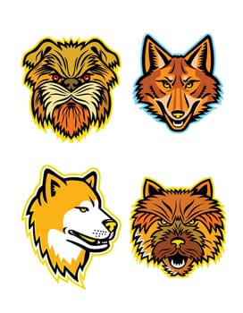 Mascot icon illustration set of heads of terriers and wolves or canids, like the Affenpinscher dog or  Monkey Terrier, coyote, wolf, coydog or wild dog, Japanese Akita Inu and the Norwich terrier viewed from front  on isolated background in retro style.
