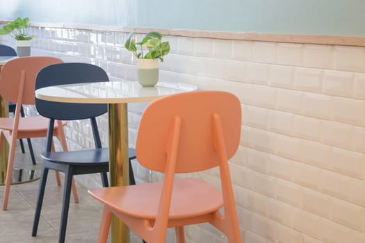 Indoor plant on coffee shop table, stock photo