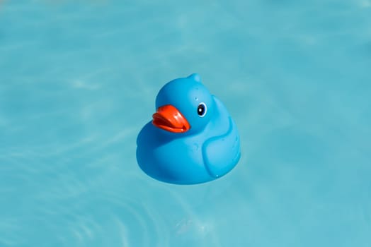 A single blue rubber duck floats in a paddling pool