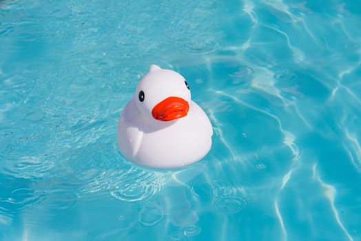 A single white rubber duck alone in the paddling pool