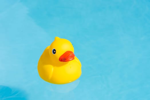 A single yellow rubber duck floats in a paddling pool