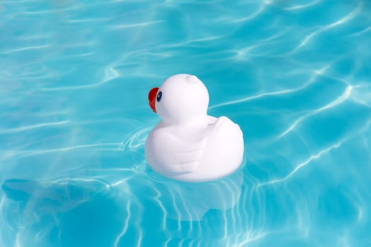 A single white rubber duck alone in the paddling pool
