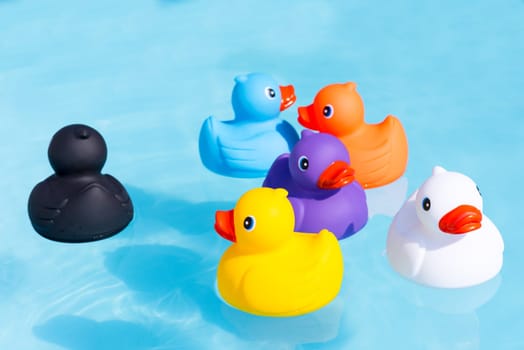 Six colourful rubber ducks, a family of ducks, yellow, blue, purple, black, white and orange, swimming in the water in a paddling pool
