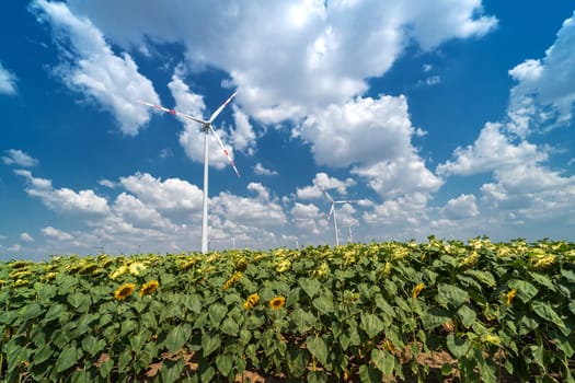Sunflowers and wind turbines,alternative energy to protect the environment
