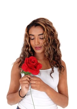 A closeup image of a beautiful young woman with brunette curly hair.with a red rose in her hand, isolated for white background.