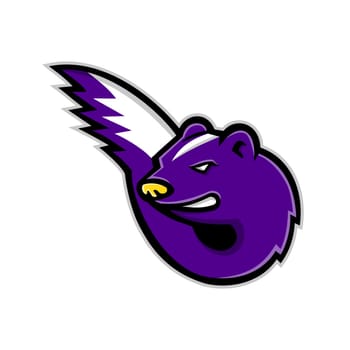 Mascot icon illustration of head of a striped skunk  or hooded skunk with tail  viewed from side on isolated background in retro style.