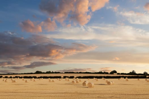 Norfolk hay bales basking in the sunset glow with pink clouds and blue skies. Round straw bundles in a heavenly rural evening summer landscape