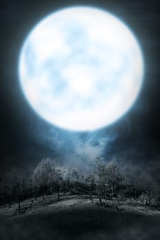 Foggy mountain with green forest and full moon at night