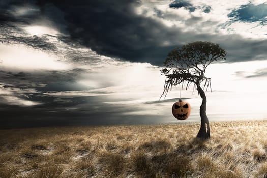 Pumpkin hanging on the dead tree in grassland with dark sky background