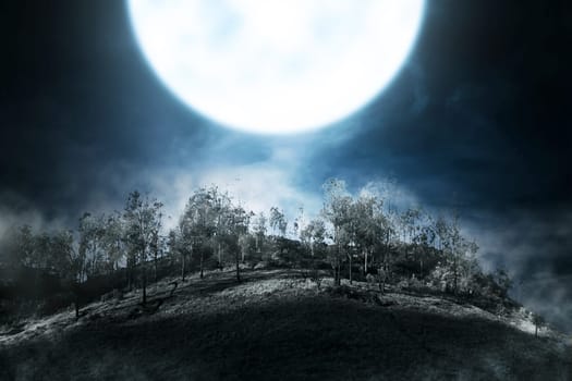 Foggy mountain with green forest at night