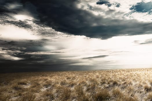 Grassland with dark cloudscape on the sky