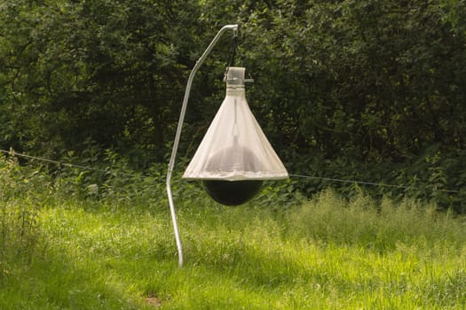 Brakes Fly trap for the paddock Horse weed Insect protection for horses