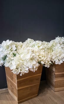 Decorative flower in wooden bucket, stock photo