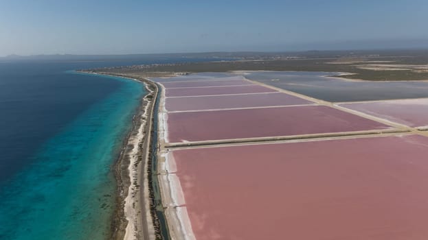 rose caribbean salt lake Bonaire island aerial drone top view