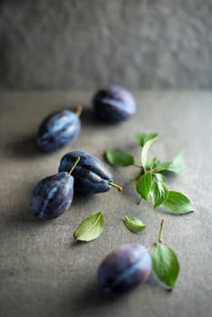 Fresh blue plums with leaves on stone table close up